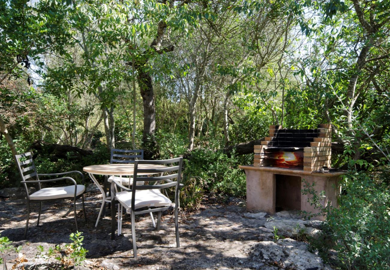 Finca en Pollensa / Pollença - LA TORRE  Ref. VP86