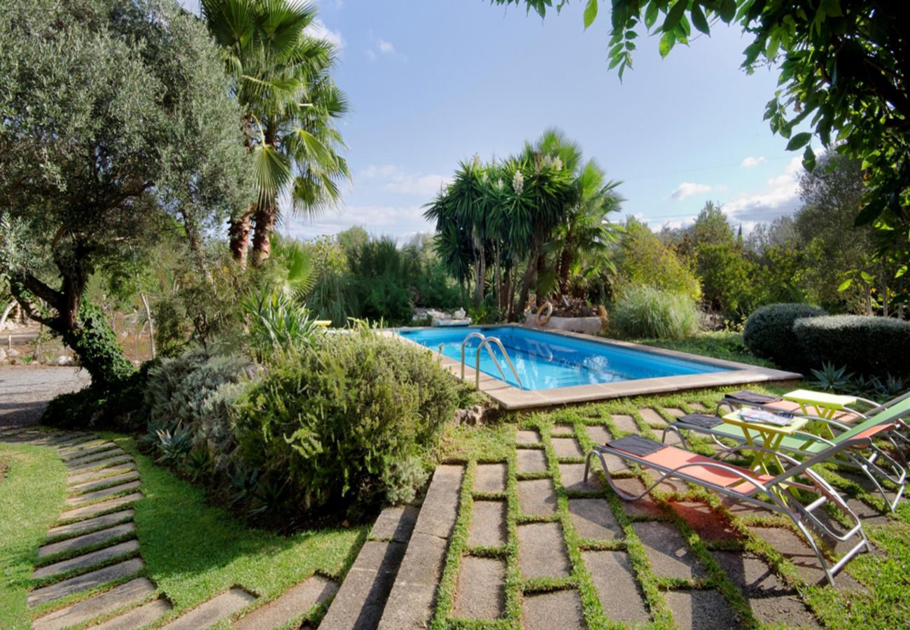 Finca en Pollensa / Pollença - LA TORRE  Ref. VP86