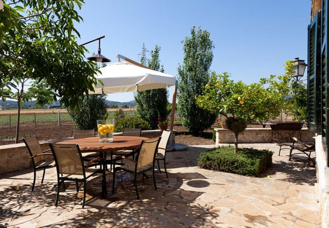 Finca en Alcúdia - CAN CREMAT  Ref. VP67 Finca en Alcúdia - CAN CREMAT  Ref. VP67