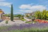 Finca en Pollensa / Pollença - GARRIGA DEL VILA ref. VP60 Finca en Pollensa / Pollença - GARRIGA DEL VILA ref. VP60