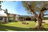 Finca en Pollensa / Pollença - CAN LLOP ref. VP94 Finca en Pollensa / Pollença - CAN LLOP ref. VP94