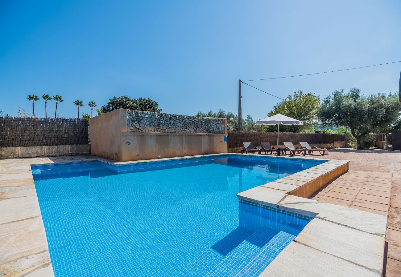 Finca en Pollensa / Pollença - ALMADRAVA CIFRE MOLL (ETV/5720) Ref. VP31