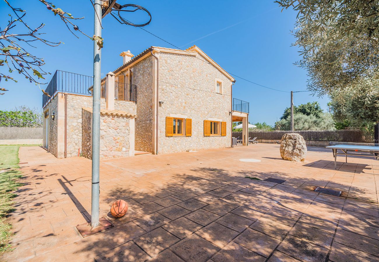Finca en Pollensa / Pollença - ALMADRAVA CIFRE MOLL (ETV/5720) Ref. VP31