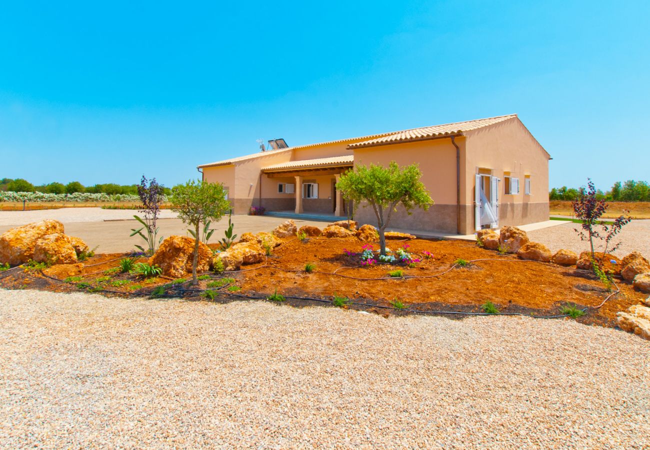 Finca en Binissalem - C386 Sion by Mallorca Villa Selection