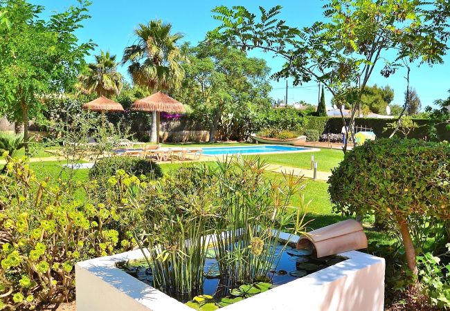 Alquiler de casa de vacaciones en Mallorca , alquiler de casa de vacaciones en Mallorca,