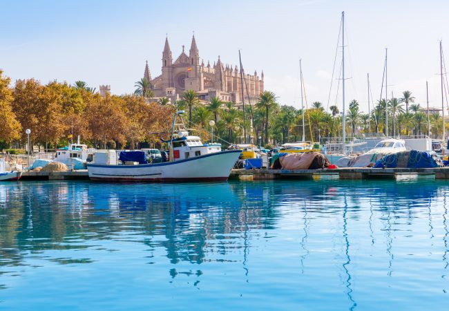 Villa en Sa Pobla - 261 Villa Son Manyo ET/1982 by Mallorca Charme Villa en Sa Pobla - 261 Villa Son Manyo ET/1982 by Mallorca Charme