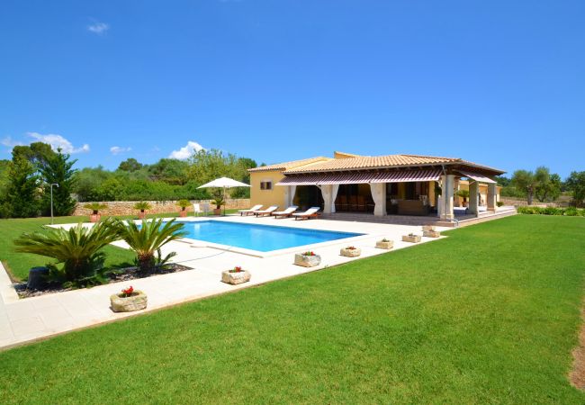 vacaciones, alquiler de vacaciones en Mallorca privada, vacaciones, alquiler de vacaciones en Mallorca privada,