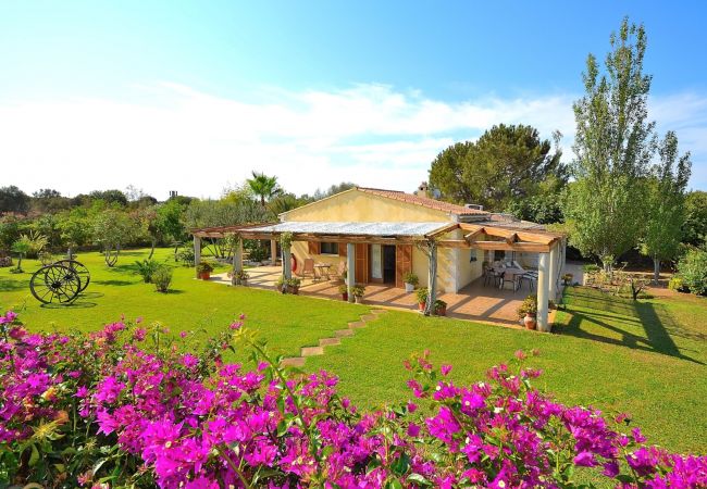 Alquiler de apartamento en Mallorca Alquiler de apartamento en Mallorca