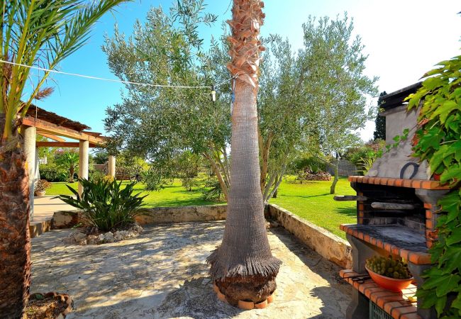 Alquiler de apartamento en Mallorca Alquiler de apartamento en Mallorca