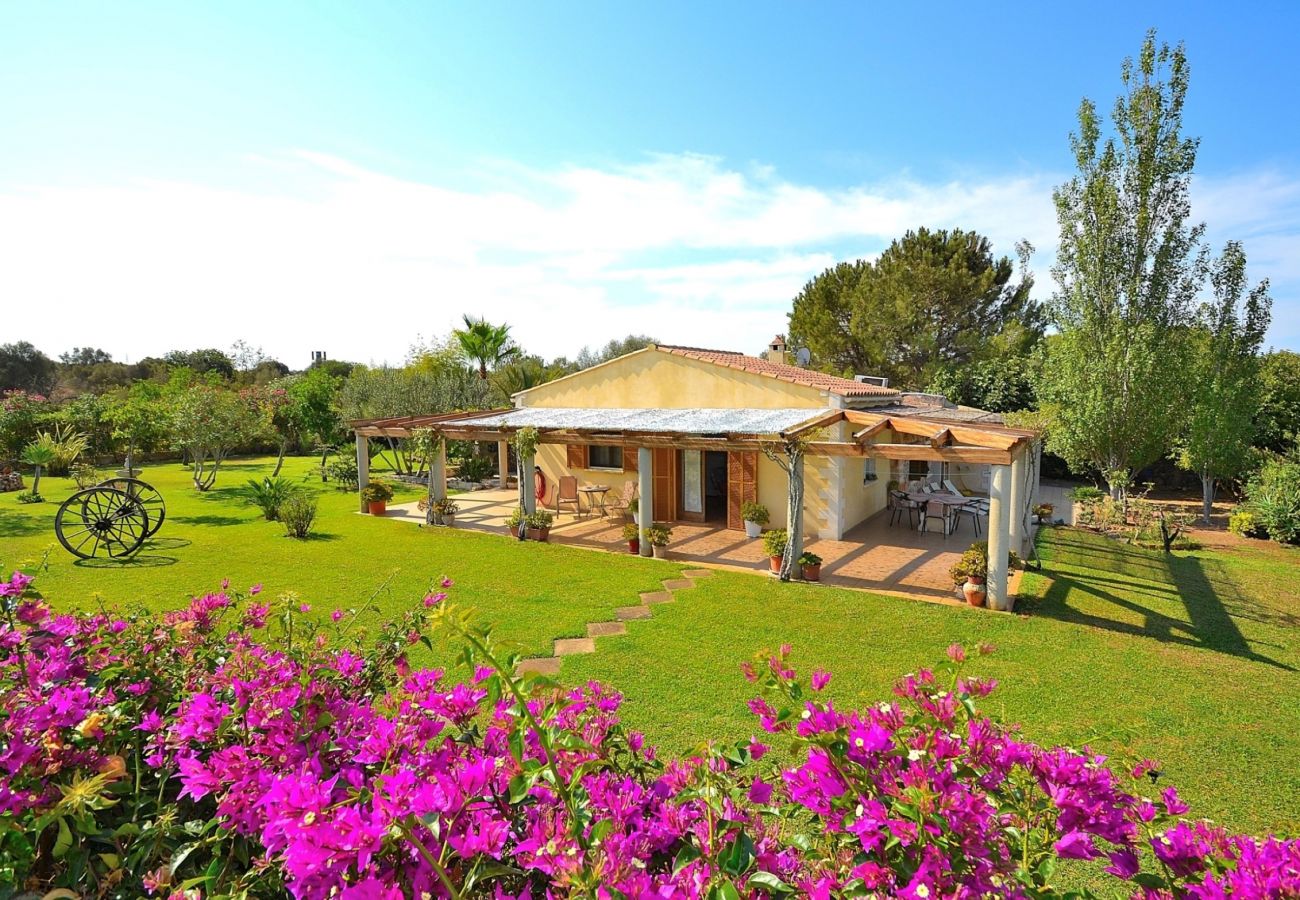 Alquiler de apartamento en Mallorca Alquiler de apartamento en Mallorca