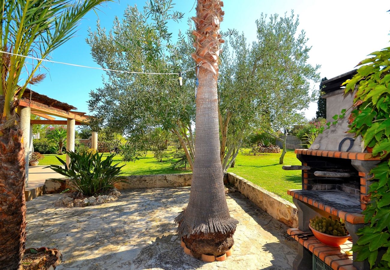 Alquiler de apartamento en Mallorca Alquiler de apartamento en Mallorca