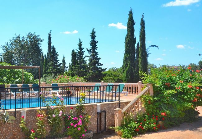 Alquiler privado Finca Mallorca Alquiler privado Finca Mallorca