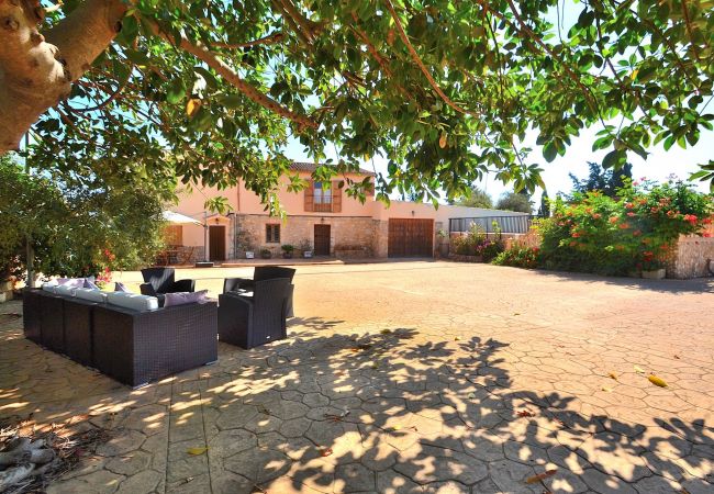 Alquiler de apartamento en Mallorca Alquiler de apartamento en malolorca