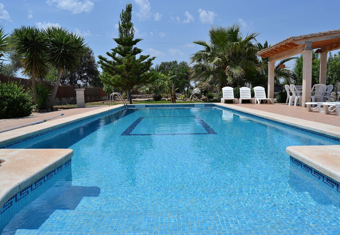 La finca tiene un gran jardín donde se encuentra una piscina