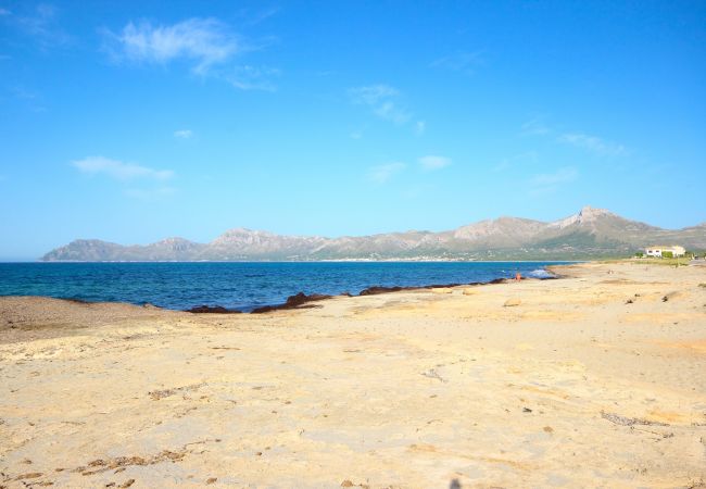 Preciosa vista de la playa desde la casa Preciosa vista de la playa desde la casa