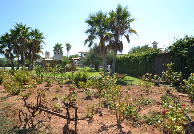 Finca en Muro - Can Gamundí Villa Can Picafort 052 Finca en Muro - Can Gamundí Villa Can Picafort 052