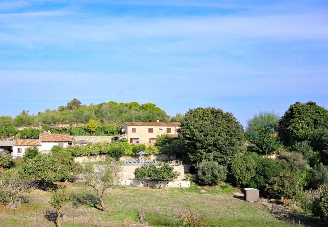 Alquiler de apartamento en mallorca Alquiler de apartamento en mallorca