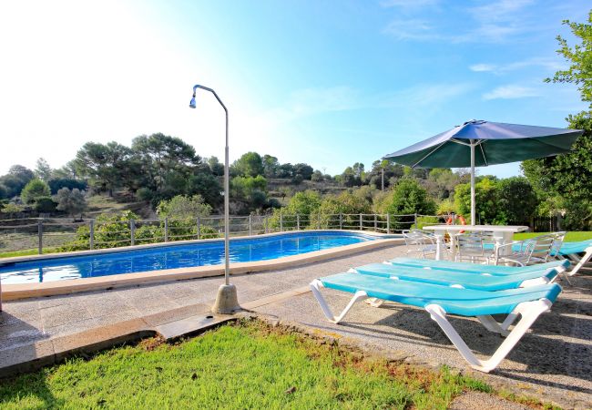 Alquiler de apartamento en mallorca Alquiler de apartamento en mallorca