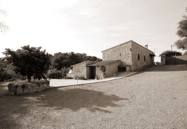 Alquiler de apartamento en mallorca Alquiler de apartamento en mallorca
