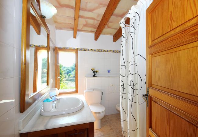 Alquiler de apartamento en mallorca Alquiler de apartamento en mallorca