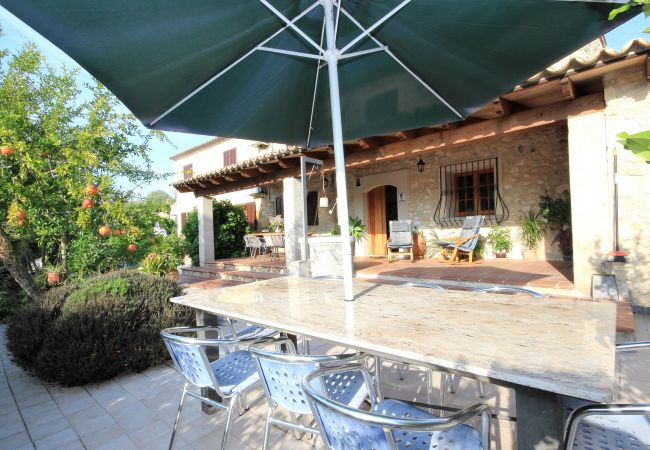 Alquiler de apartamento en mallorca Alquiler de apartamento en mallorca