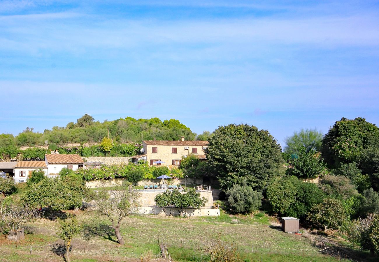 Alquiler de apartamento en mallorca Alquiler de apartamento en mallorca