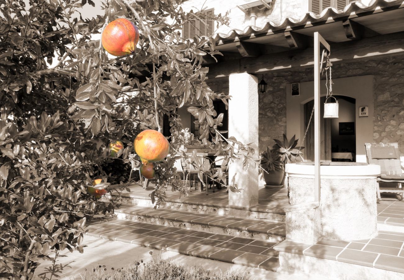 Alquiler de apartamento en mallorca vAlquiler de apartamento en mallorca