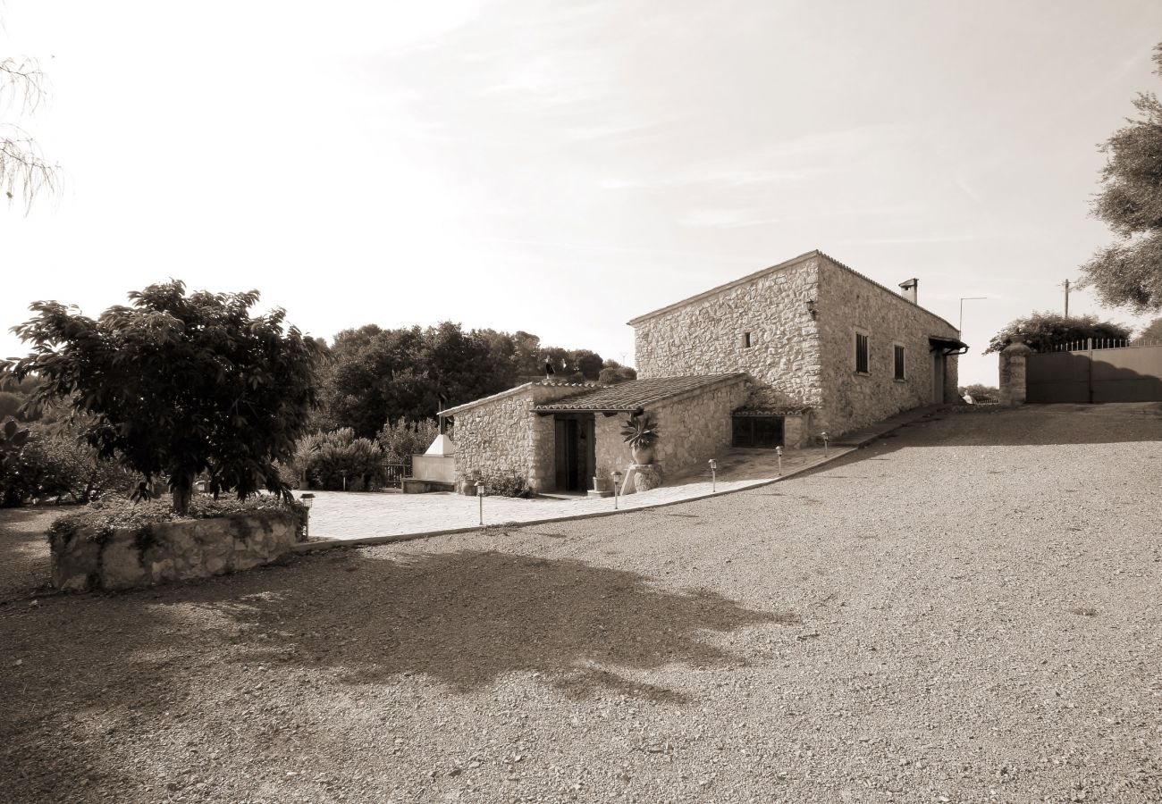 Alquiler de apartamento en mallorca Alquiler de apartamento en mallorca