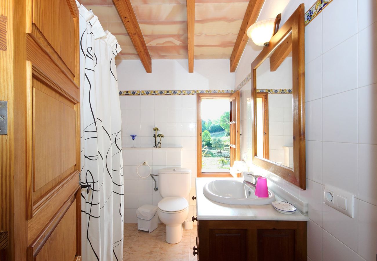 Alquiler de apartamento en mallorca vvAlquiler de apartamento en mallorca