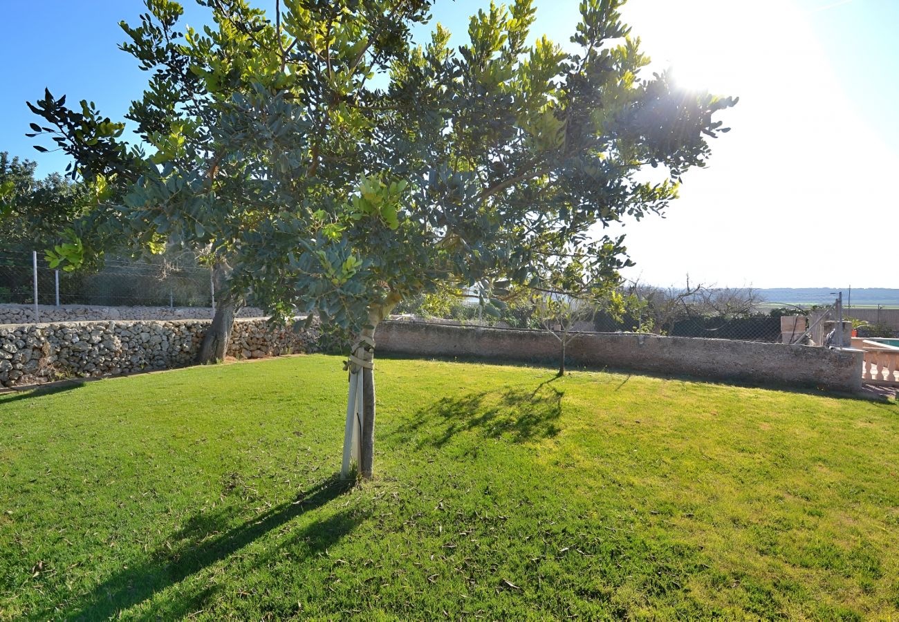 Finca en Ariany - 078 Finca Sa Rota VT/1953 by Mallorca Charme