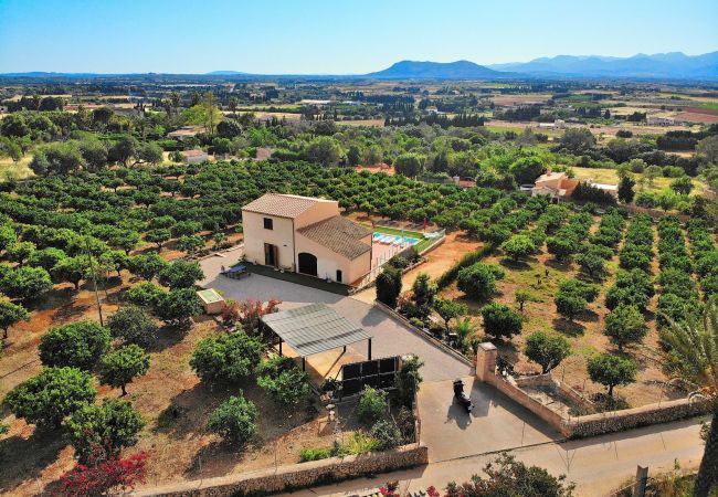 Finca en Muro - Els Tarongers Muro finca 081 Finca en Muro - Els Tarongers Muro finca 081
