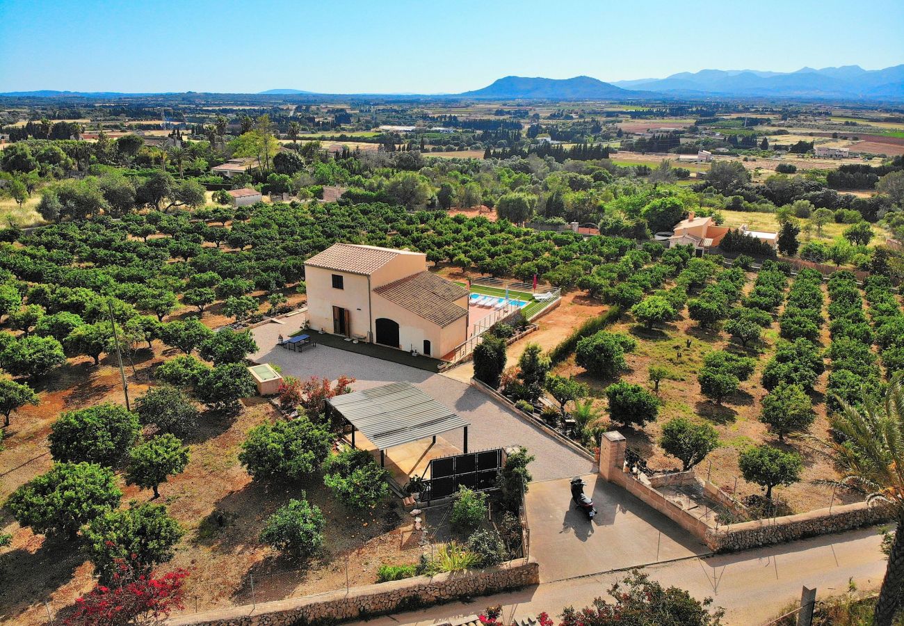 Finca en Muro - 081 Finca Els Tarongers ETV5766 by Mallorca Charme