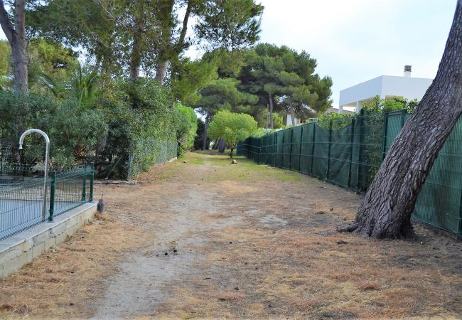 Alquiler de casa de vacaciones en Mallorca Alquiler de casa de vacaciones en Mallorca