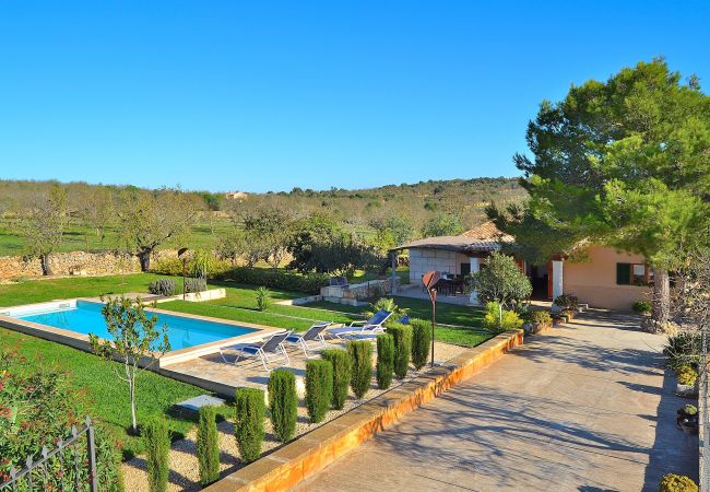 Alquiler de apartamento en Mallorca