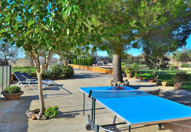 Alquiler de apartamento en Mallorca Alquiler de apartamento en Mallorca