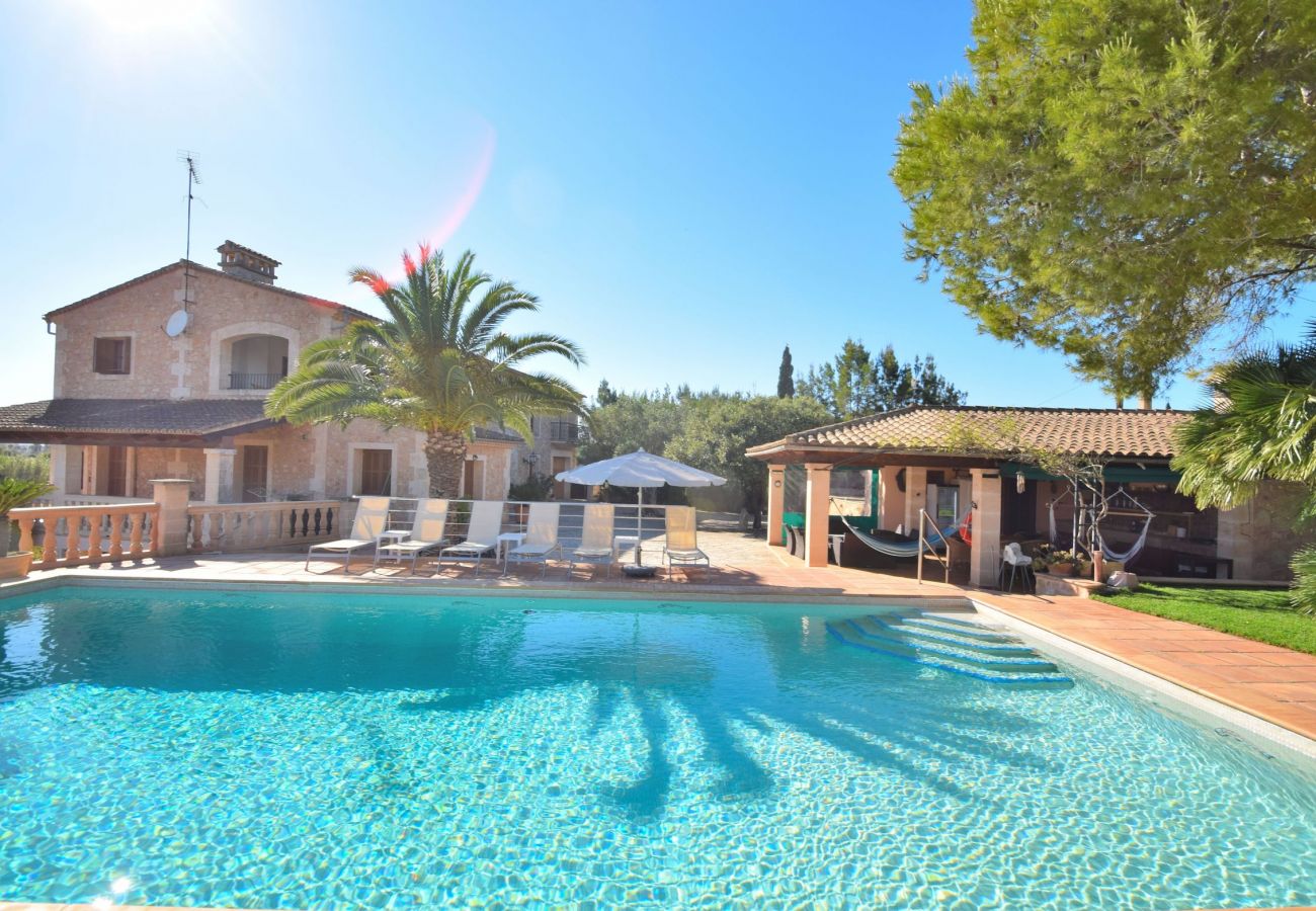 piscina, verano, vacaciones ,naturaleza