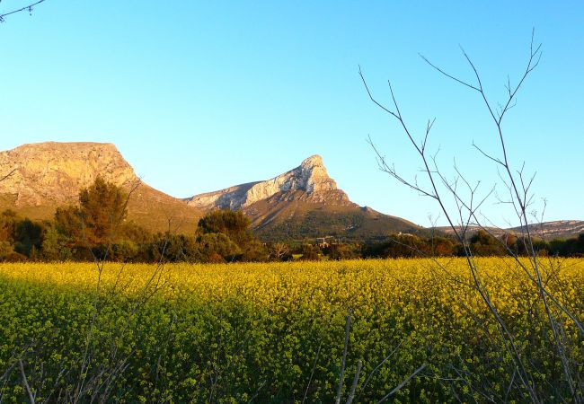 Alquiler de apartamento en Mallorca vAlquiler de apartamento en Mallorca