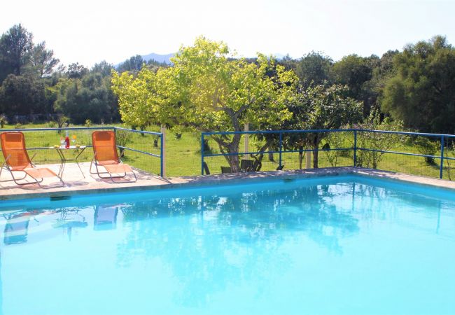 Alquiler de apartamento en Mallorca Alquiler de apartamento en Mallorca