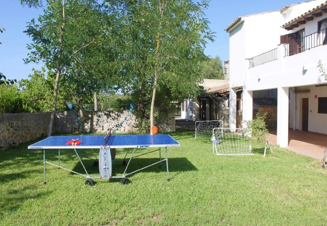 Alquiler de apartamento en Mallorc Alquiler de apartamento en Mallorc