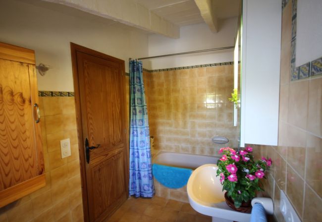 Alquiler de apartamento en Mallorc Alquiler de apartamento en Mallorc