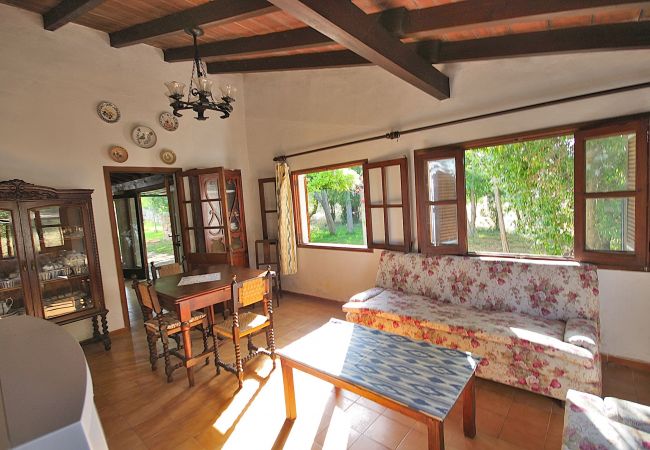 Alquiler de apartamento en Mallorc Alquiler de apartamento en Mallorc