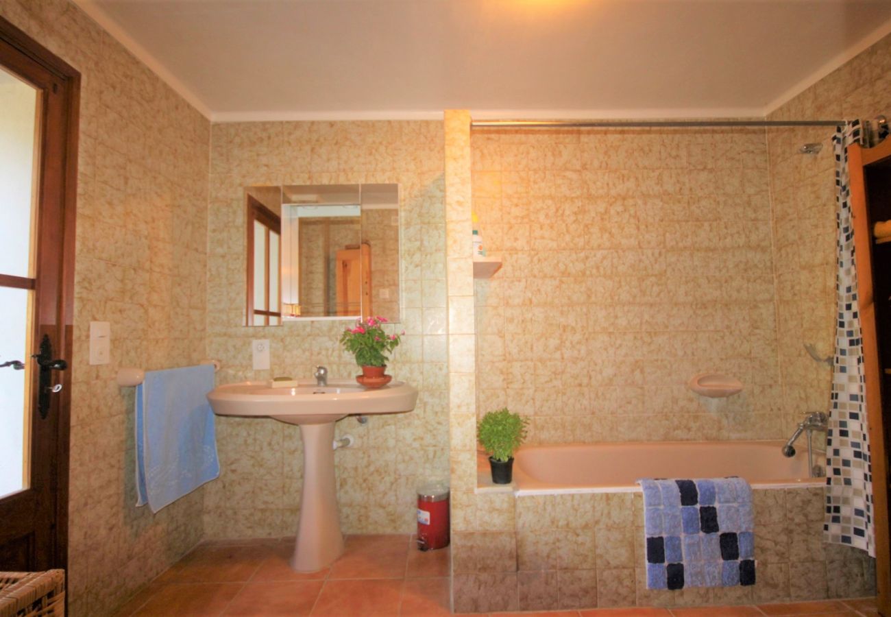 Alquiler de apartamento en Ma Alquiler de apartamento en Ma