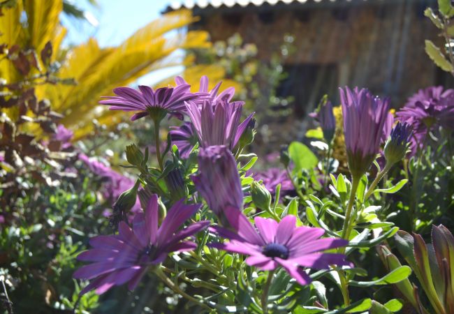 Finca en Buger - Finca Sa Figuera Blanca 115 by Mallorca Charme