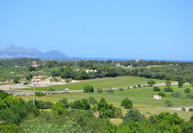 Alquiler de apartamento en Mallorca