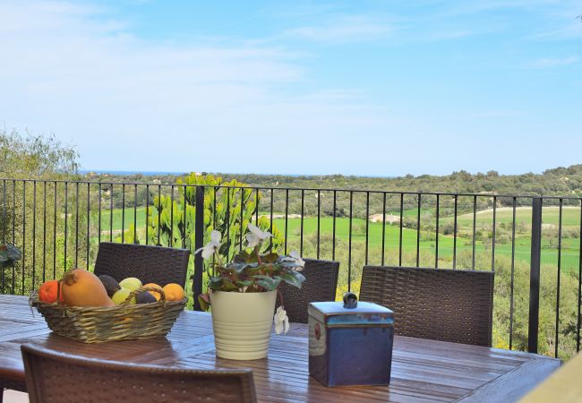 Terraza grande con vistas bonitas