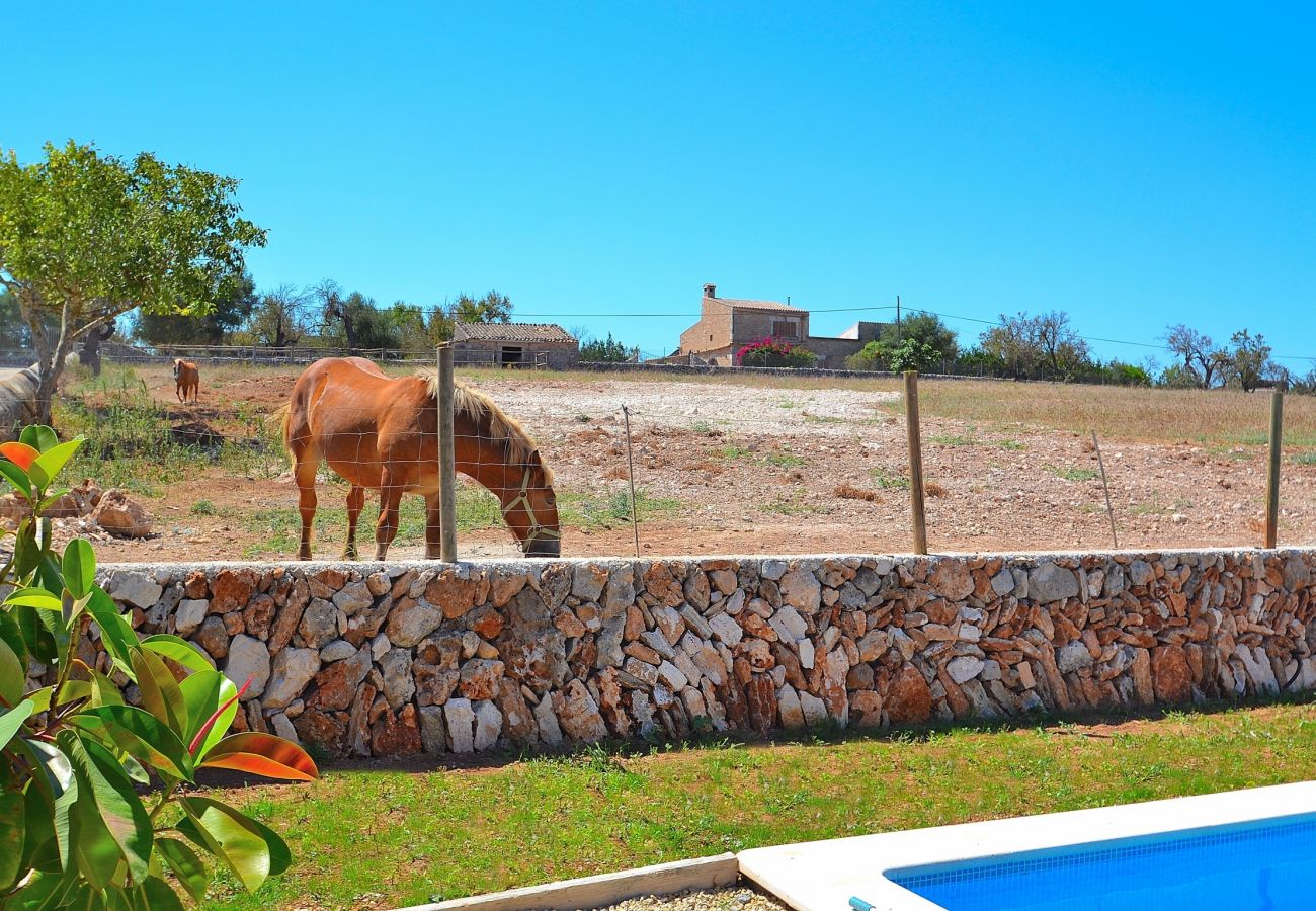 Alquiler de apartamento en Mallorca