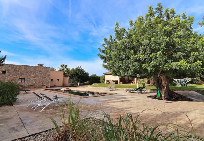 Finca en Binissalem - Villa Es Triquet 151 by Mallorca Charme