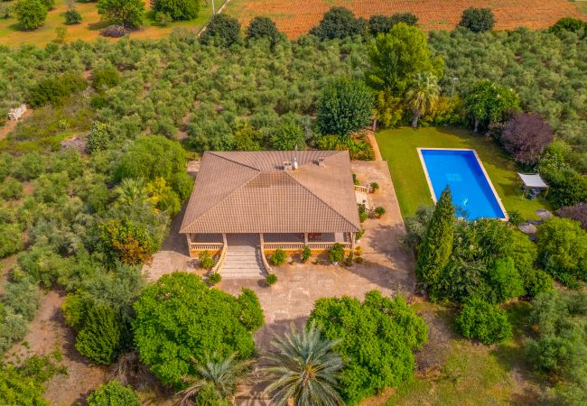 Villa en Buger - Dofi Blau, Villa 5StarsHome Mallorca Villa en Buger - Dofi Blau, Villa 5StarsHome Mallorca