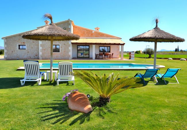 Jardín bonito, piscina, finca, campo, Mallorca