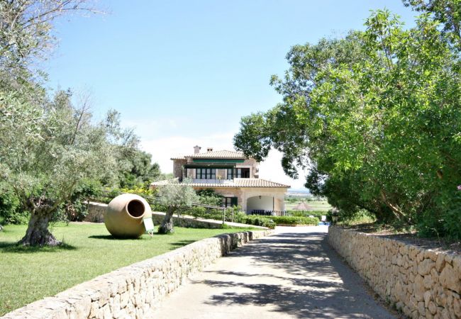Mallorca Alquileres de fincas vacacionales VMallorca Alquileres de fincas vacacionales